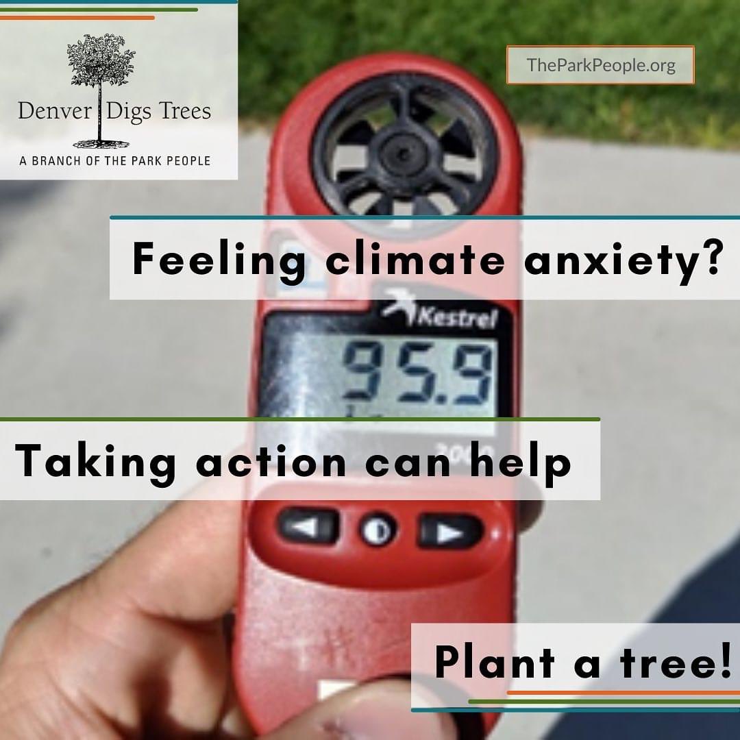 Want a free or affordable tree through Denver Digs Trees? Apply for a tree today!  Applications close Feb. 15th

theparkpeople.org/What-We-Do/Den…

#denverdigstrees #treeequity #freetrees