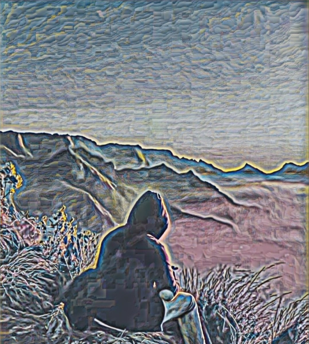 Damian (@dummarley1) on Twitter photo 