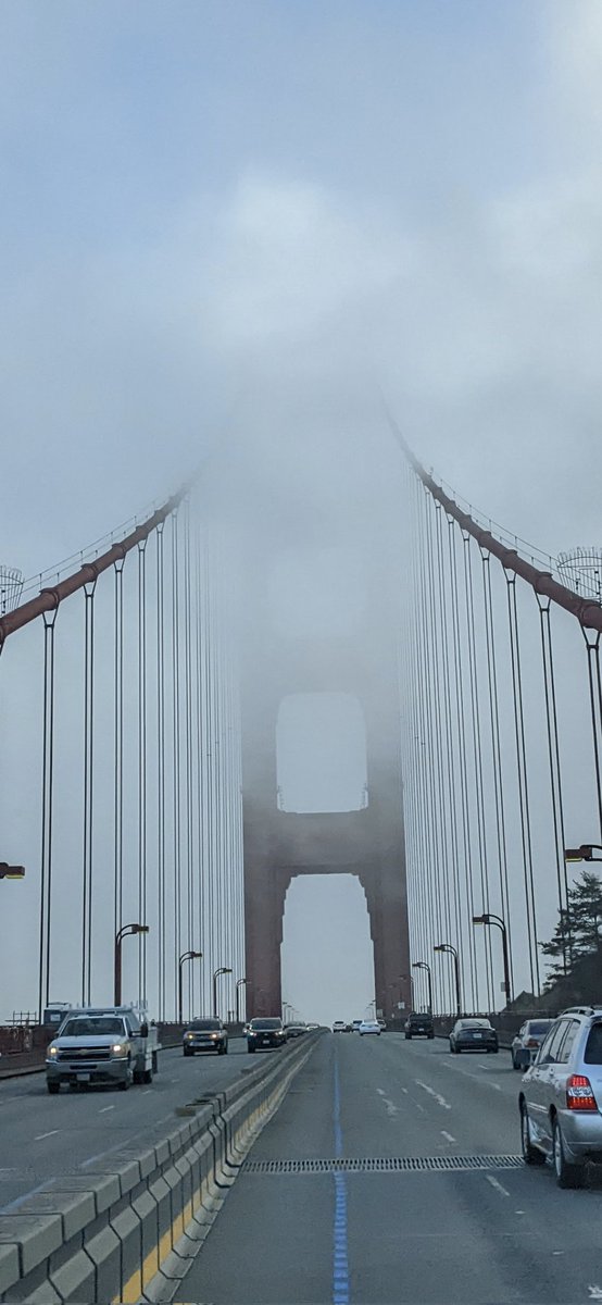 Padraic92996190's tweet photo. The #doge fog is rolling in.
#doge #Tesla https://t.co/AzuQ23ByJ6