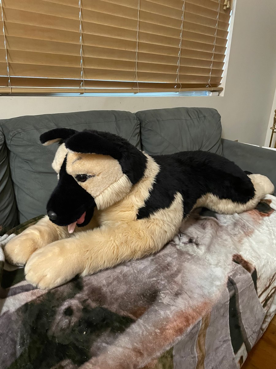 akitas237's tweet photo. Bob Der Bär German Shepherd for sale $850 
#plush #forsale #dogplush https://t.co/WnCrdzVFUb