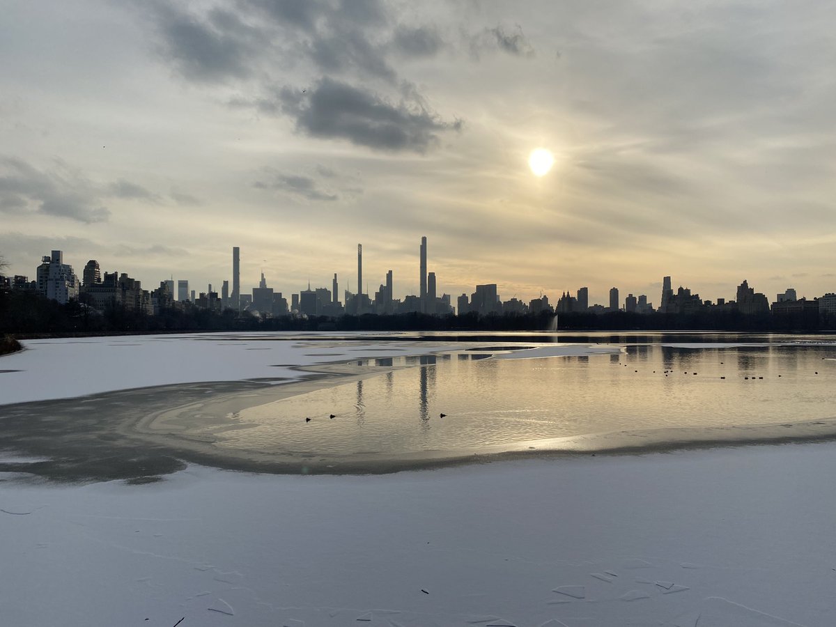 SwissAmbUN_NY's tweet image. So, what can we do when the pandemic makes exchanging with people in normal meeting rooms difficult - again 😠? Well, @CentralParkNYC diplomacy is the best answer. Join me! #APlusForInnovation