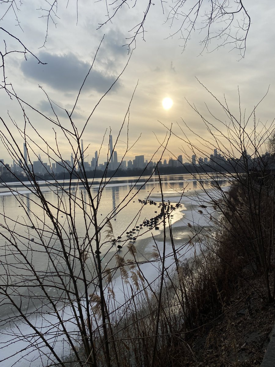 SwissAmbUN_NY's tweet image. So, what can we do when the pandemic makes exchanging with people in normal meeting rooms difficult - again 😠? Well, @CentralParkNYC diplomacy is the best answer. Join me! #APlusForInnovation