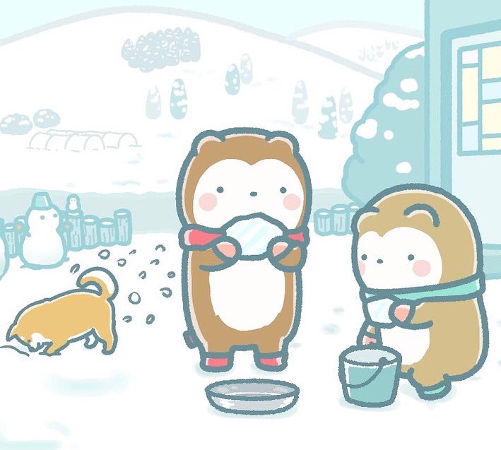 テディとベアー Chiccorohan Twitter