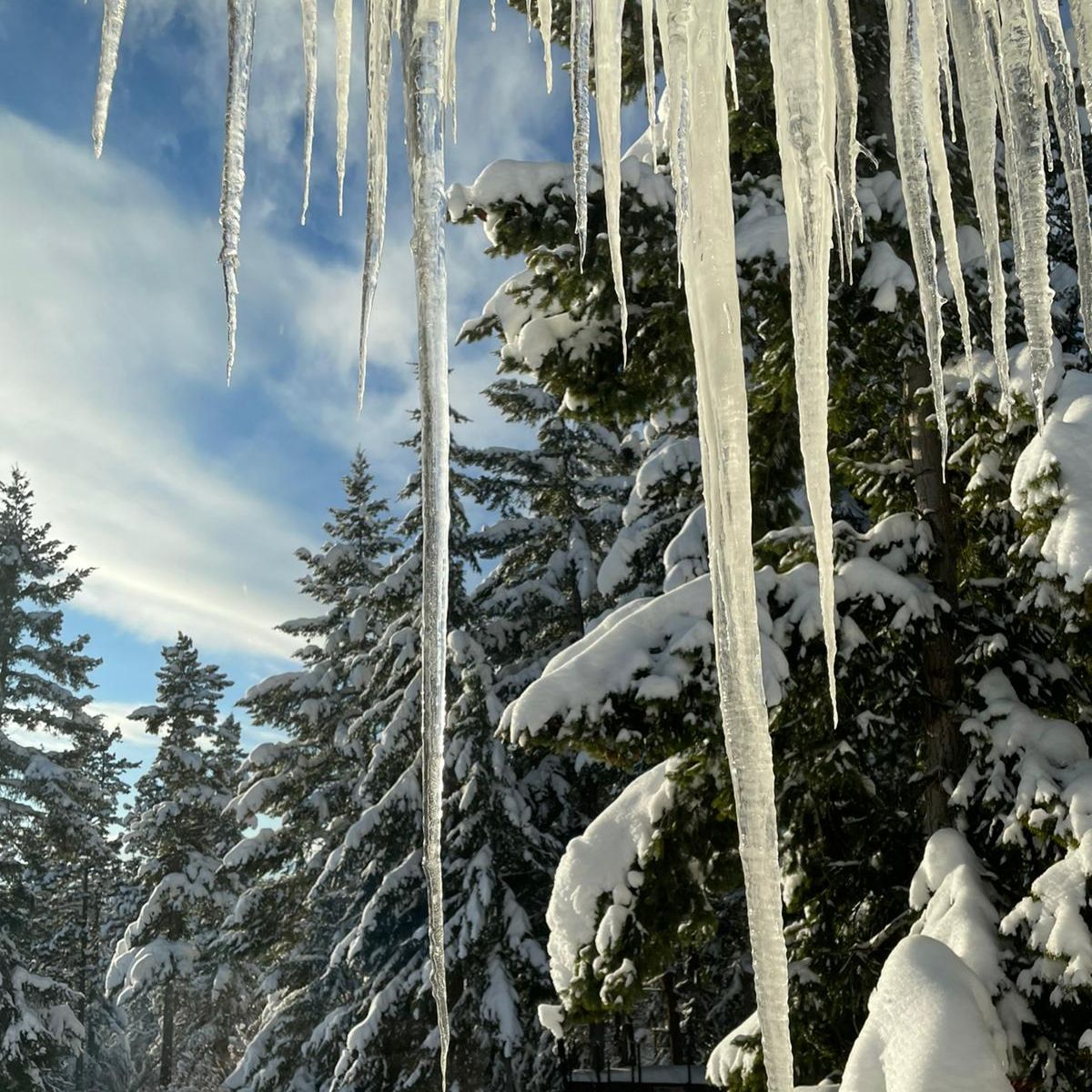 MPWauthor's tweet image. Icicles outside the window of the office.

#writerslife #iceicebaby #snowvibes #winter #officeview