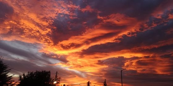 Juan Carlos Valerio tweet media