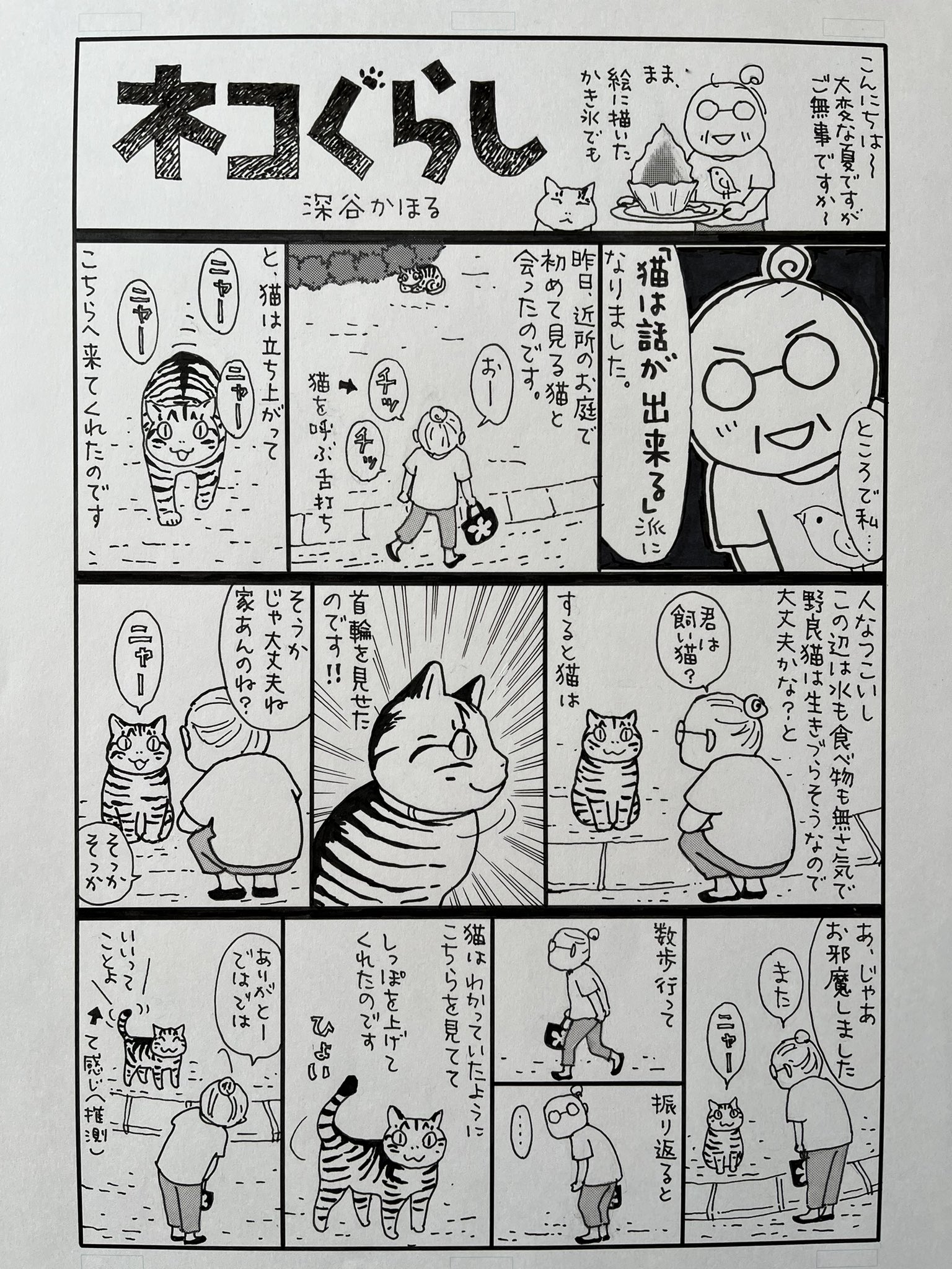 深谷かほる「夜廻り猫」11巻 on X: 深谷かほる「夜廻り猫」11巻 on X: