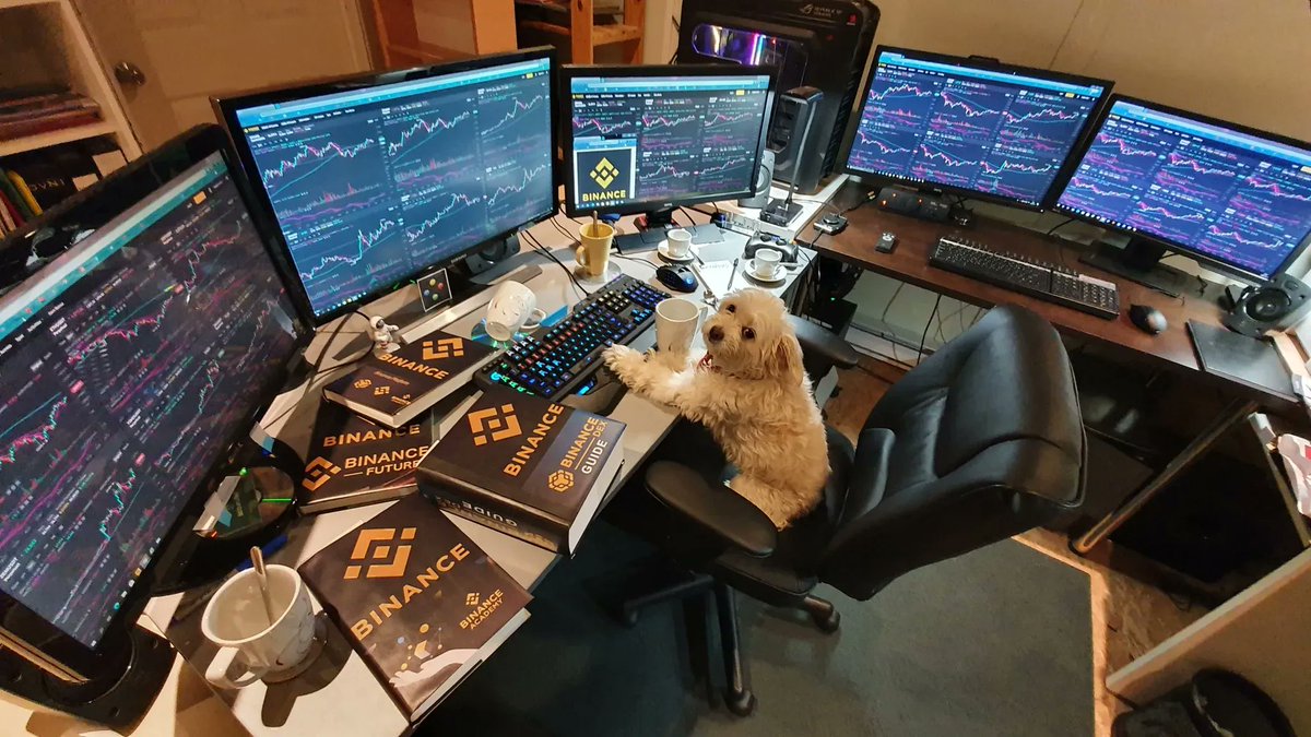 Pictured: #Binance intern ready for the day.