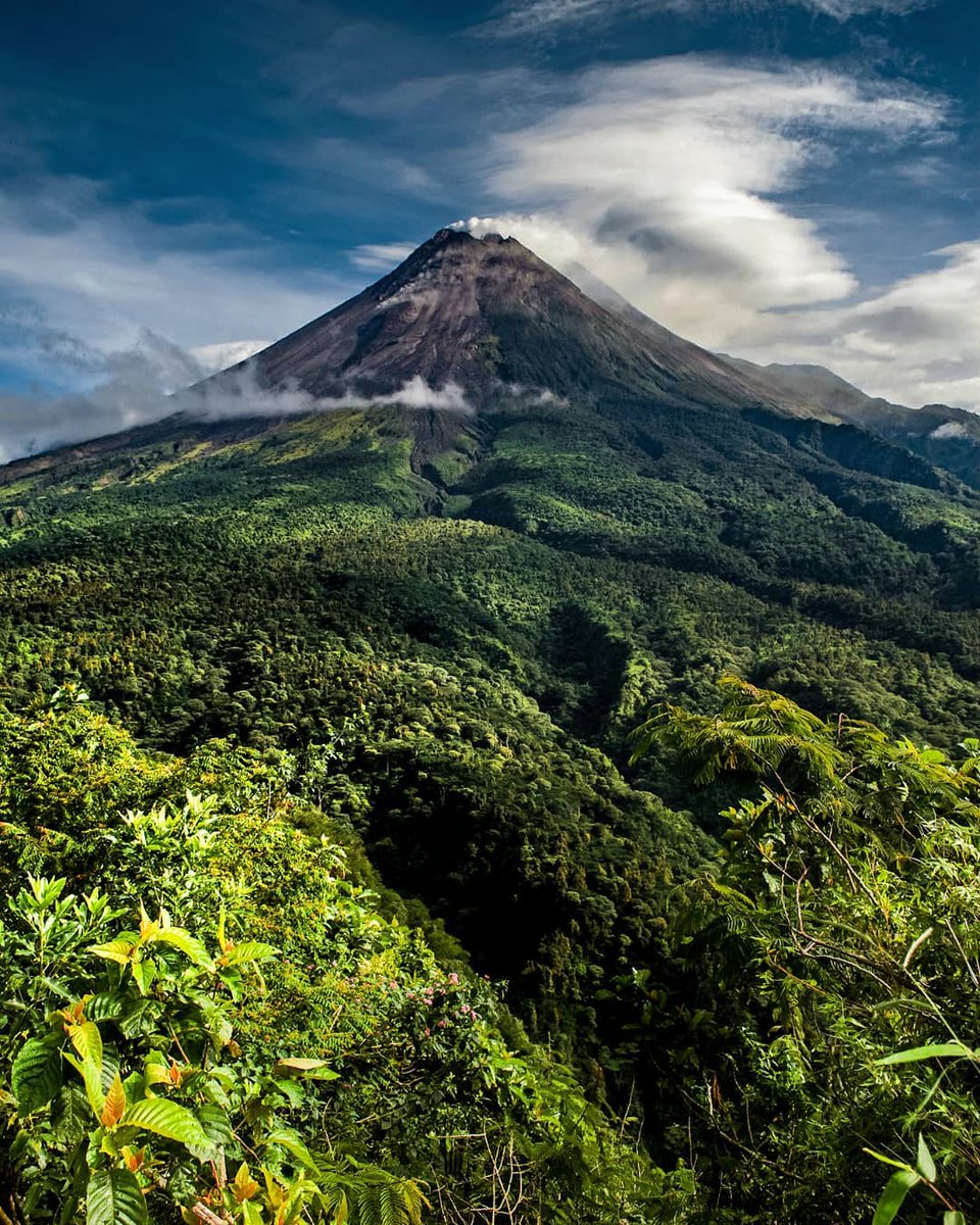 Merapi News tweet media