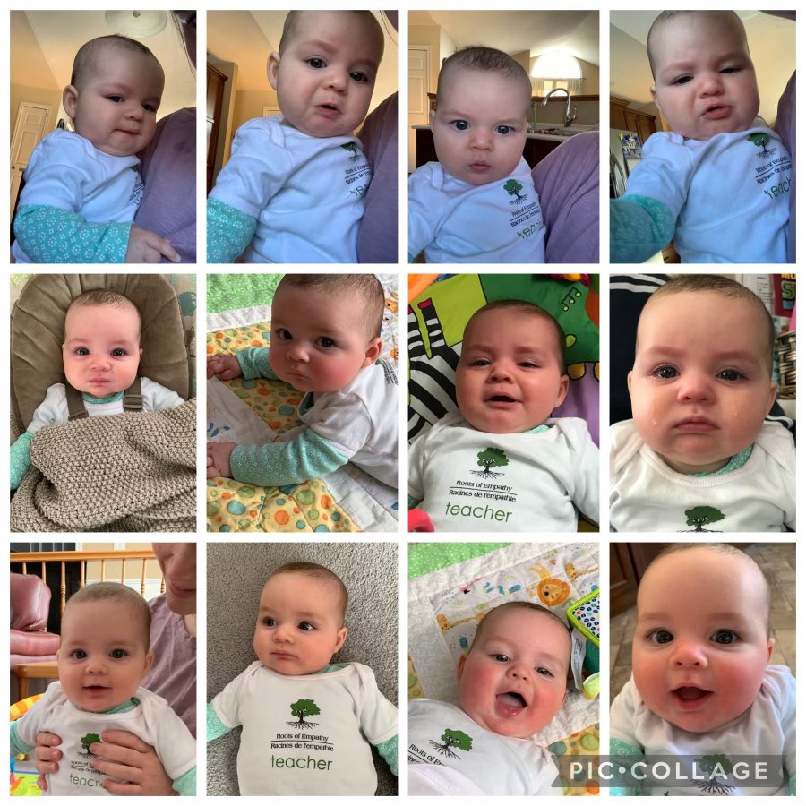 MrsPignatOCSB's tweet photo. Today during @RootsofEmpathy we talked about Body Language. How does Baby Isla show how she is feeling? Take a look at all of her emotions in just one day. This has been my favourite group of pictures so far! 💚@MRTPandas @StMartinOCSB @MmePeverley https://t.co/EGeQxIxx2P