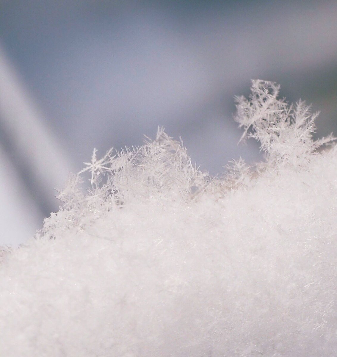 hamster_snow's tweet photo. ❄︎ 撮れたての雪の結晶 ❄︎

拡大すると結晶のトゲトゲが見えます❣️ 

#ファインダー超しの私の世界 #キリトリセカイ #写真好きな人と繋がりたい #カメラ好きな人と繫がりたい #北海道 #雪 #冬 #Snow #Japan #Hokkaido https://t.co/WzVrviVSls