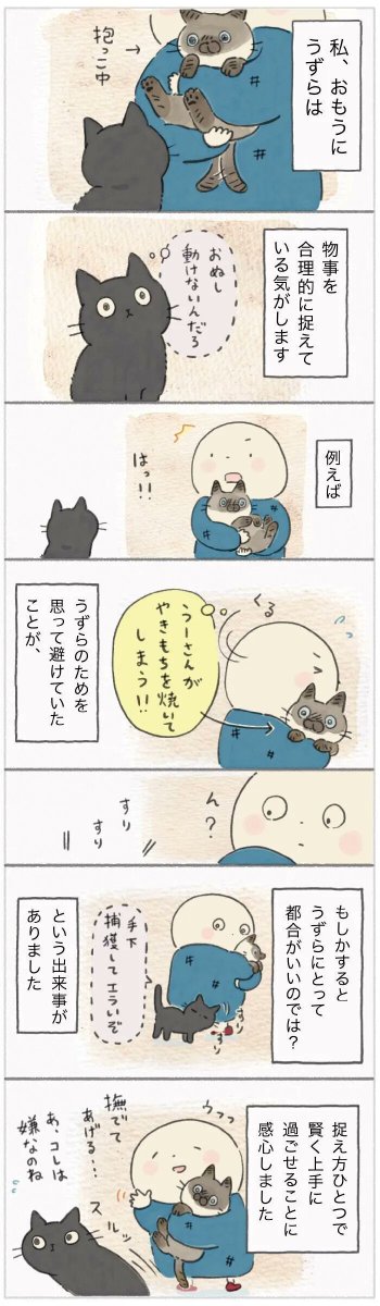 かんたろうの抱っこはうずらにとって実は…?考え方ひとつでポジティブに!【連載】ねこ連れ草 211話め|ねこのきもちWEB MAGAZINE https://t.co/EwbSBeAB7k
