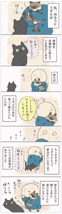 かんたろうの抱っこはうずらにとって実は…?考え方ひとつでポジティブに!【連載】ねこ連れ草 211話め|ねこのきもちWEB MAGAZINE https://t.co/EwbSBeAB7k 