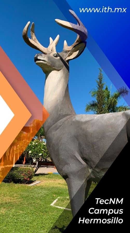 TecNM Campus Hermosillo tweet media