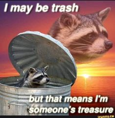 WholesomeMeme's tweet image. 