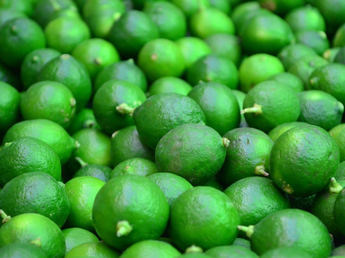 NotiGDL's tweet image. ¡El limón no había subido tanto de precio en 7 años! 🍋

El INEGI reveló que el precio promedio del limón se disparó 179% en el arranque de este año, que en comparación con el 2021, triplicó su precio. El cítrico no había aumentado tanto desde marzo de 2014.