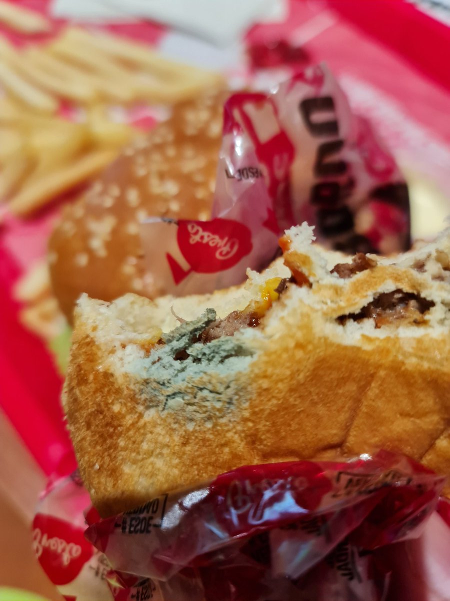 SamakDavid's tweet image. Señores @presto_co revisar bien el manejo de los alimentos. El pan de @Grupo_Bimbo de la hamburguesa de mi hija tenía este aspecto e infortunadamente alcanzó a comer. En el restaurante de @SantafeBogotaCC cambiaron el producto pero no fueron más allá de la disculpa normal.