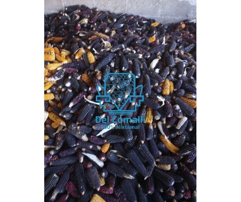 _SemillasdeVida's tweet photo. ¡Hay Maíz Nativo!
Producido en su mayoría de manera agroecológica por un campesino minifundista en el Edo. Mexico. Tienen maíz rojo (rosa), azul y blanco. Distribuyen en CDMX y los envíos corren a cargo de los clientes. 👨🏾‍🌾🌽
👉🏾Para mayor información contáctanos en nuestras redes https://t.co/6nxXkIMLeh