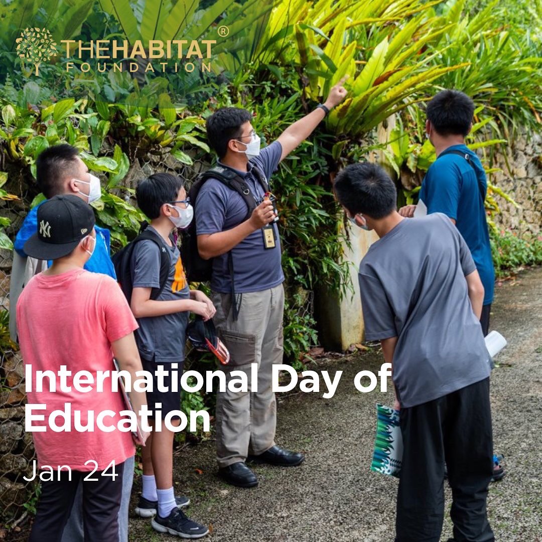 TheHabitatFoundation tweet media