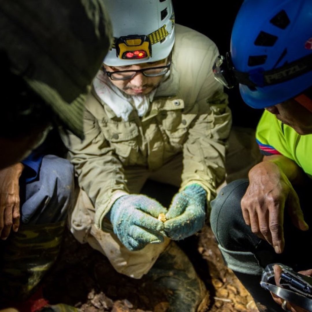 TheHabitatFoundation tweet media