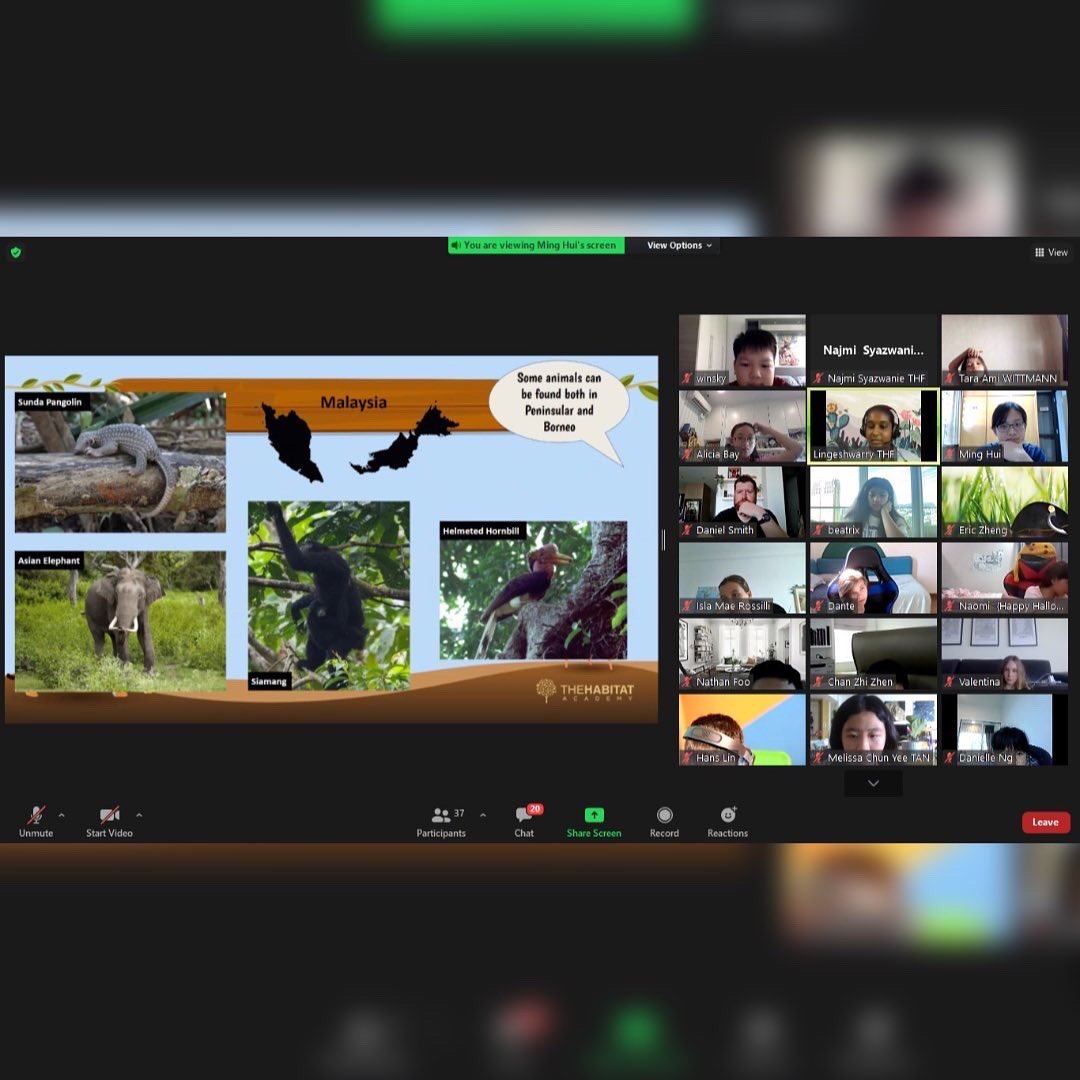 TheHabitatFoundation tweet media