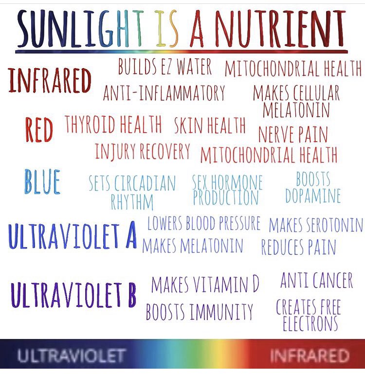 DrJackKruse's tweet image. 