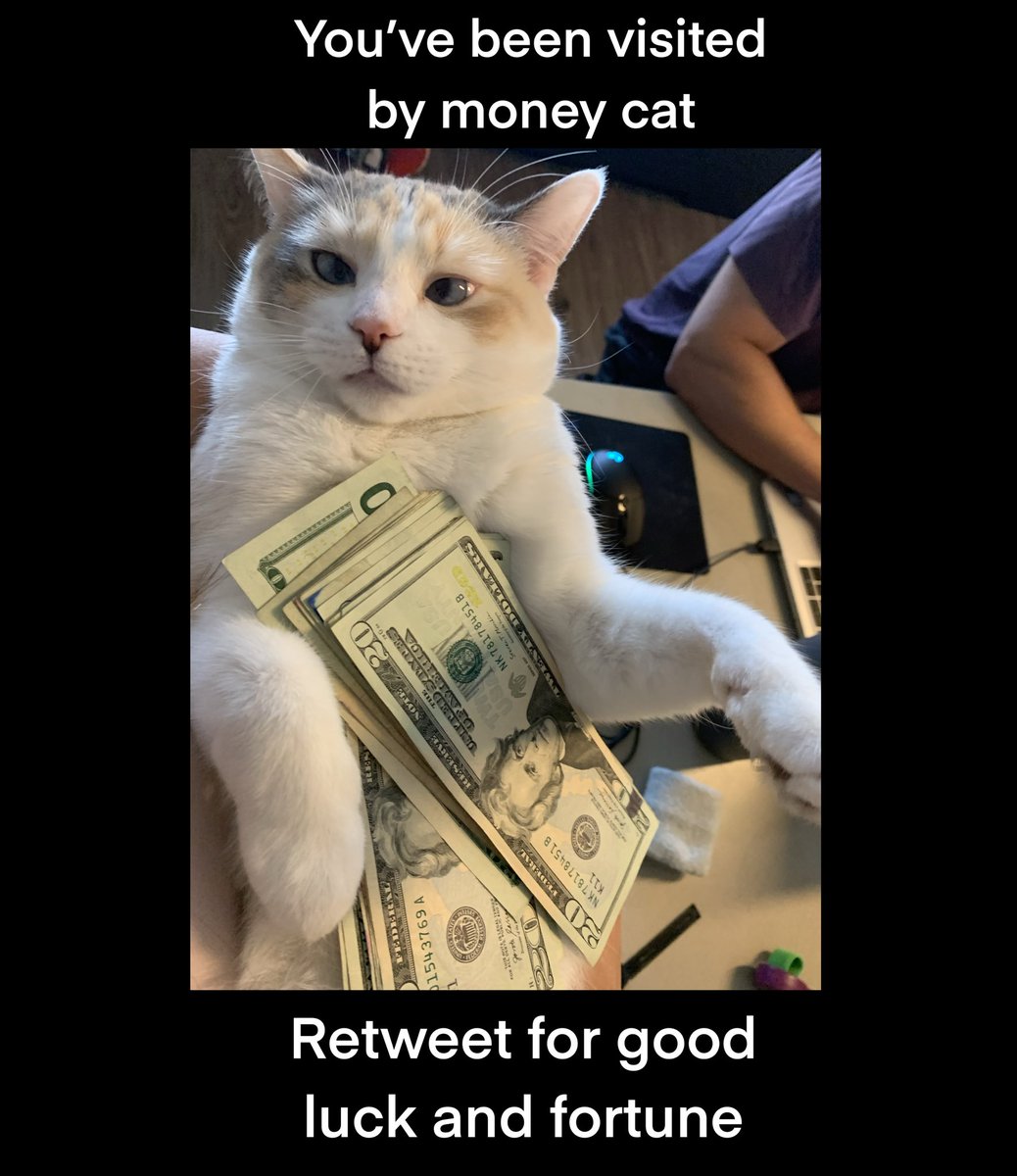 Panko A. Cat’s Mom tweet media