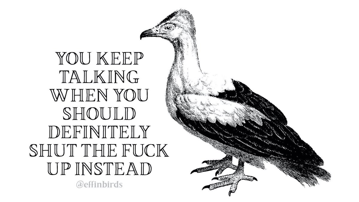 Effin' Birds (@effinbirds) on Twitter photo 