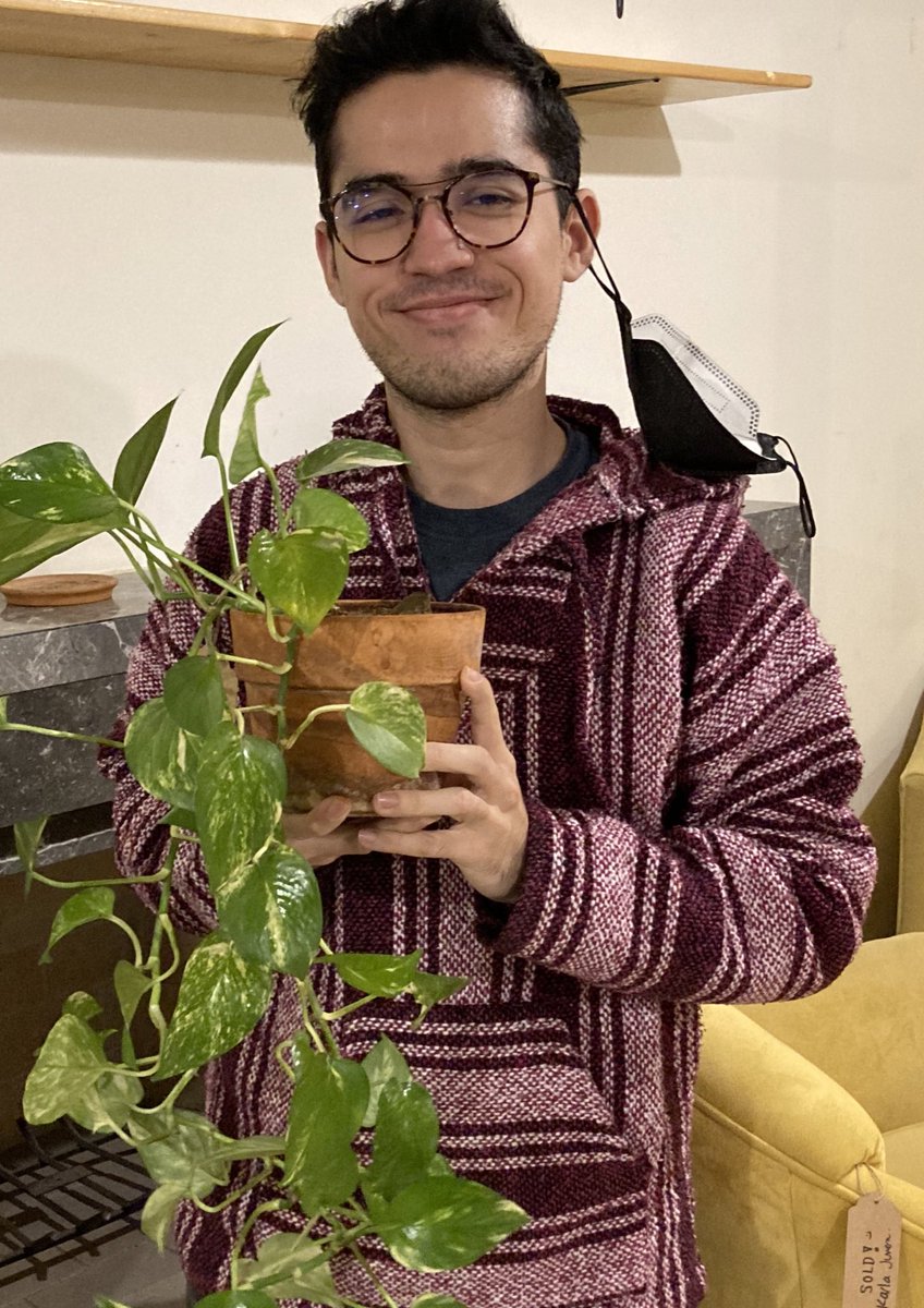 elmarcodice's tweet image. hoy compré plantas :-)