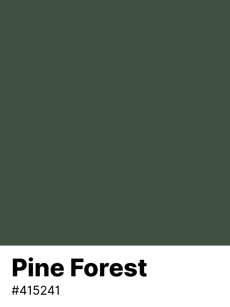 color_parrot's tweet photo. #Pine_Forest #415241 https://t.co/hU06XH8TWY https://t.co/wz1TNenXkq