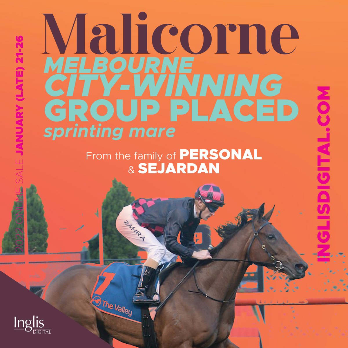 inglis_sales's tweet photo. View MALICORNE's listing in the Inglis Digital January (Late) Online Sale here: https://t.co/TVIG4P4mD5 https://t.co/R95O0MpFHa