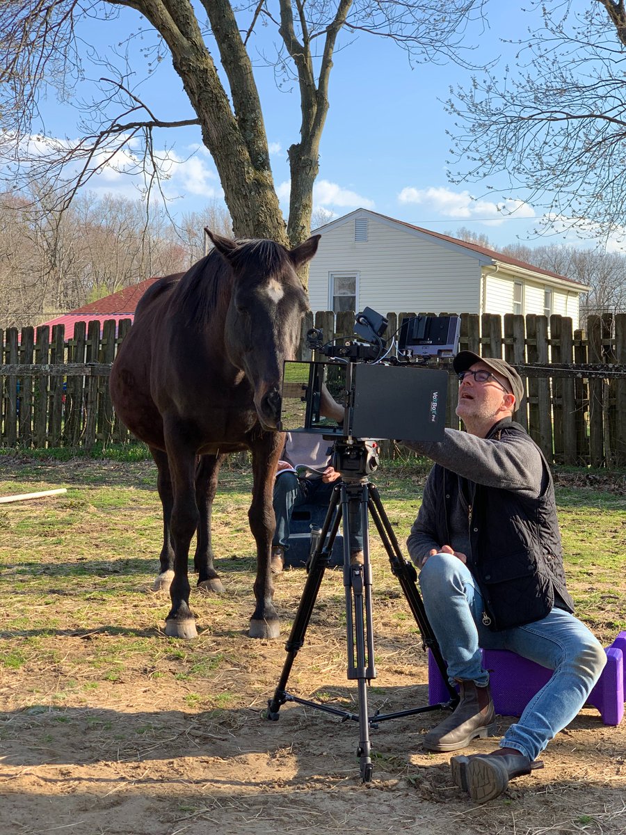 EquusProjects's tweet image. Roxy takes over the interview! imprintedthefilm.com 🤣
#imprinted #equusprojects #equus #equestrian #dancingwithhorses #naturalosemanship #nonverbal #communication #skills  #dancingwithhorses #danceonfilm #sitespecific #dance #physicallistening #choreography #interspecies
