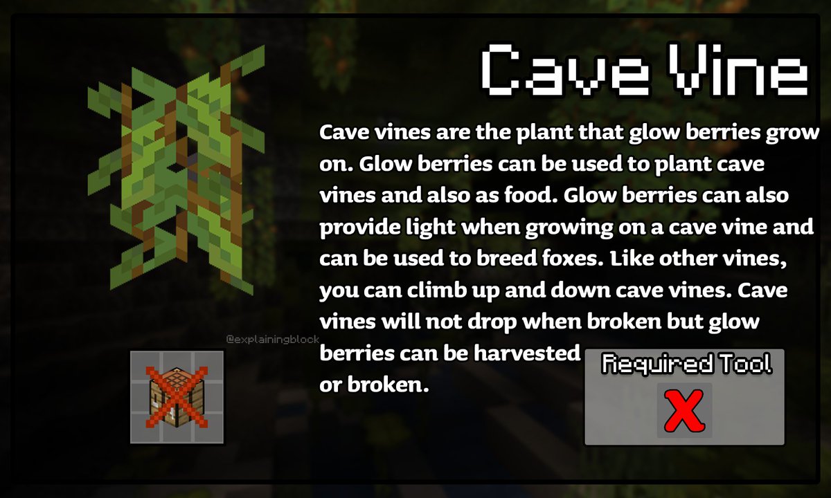 Explaining One Block Per Day tweet media