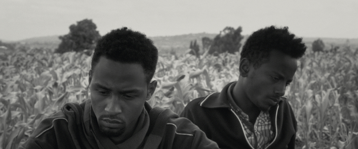 FilmRoot's tweet photo. 30 of our favorite films of last year from outside the U.S. https://t.co/H5hxh6YQ2M https://t.co/qw4Q7zPZAM