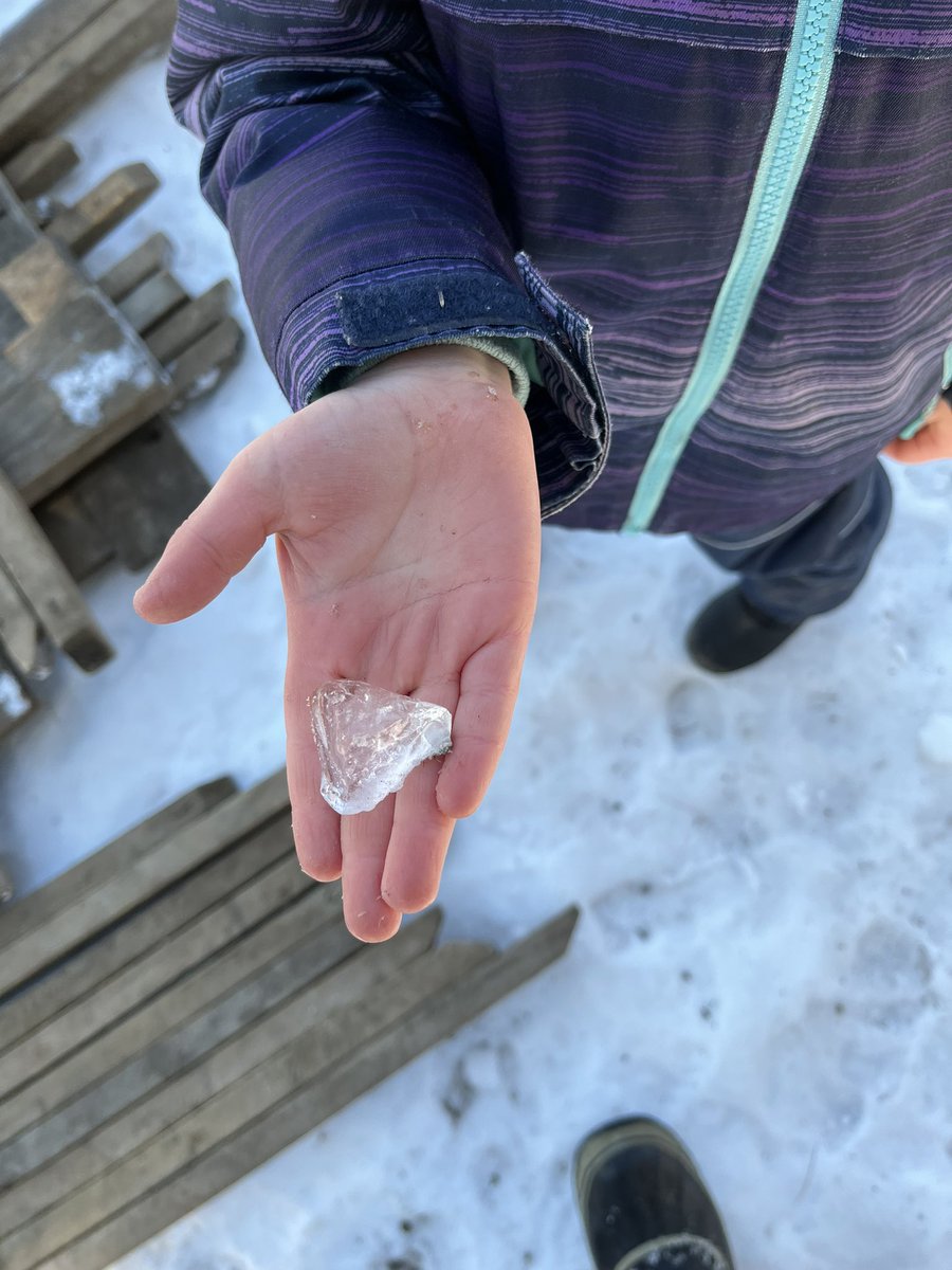Gosh, it’s wonderful to learn outside! @wilkinsonTDSB