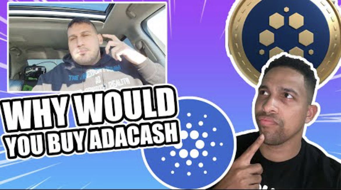 Cashverse tweet media
