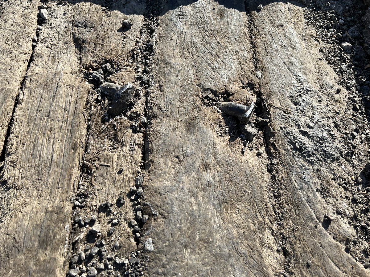 How old is the River Market you ask?   Pot hole on 3rd St reveals wooden ties under street from KC’s early days.