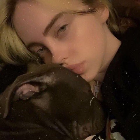 billieethinker's tweet photo. billie and shark <33!! https://t.co/UNfpddzKD2