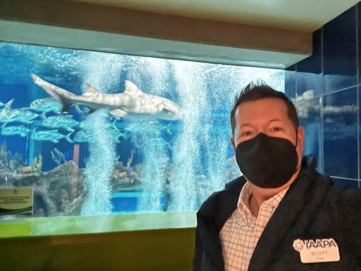 ScottFaisFun's tweet photo. MESMERIZED: Amazing discoveries await at the @OdySeaAquarium in #Phoenix. The Voyager ride is a carousel of sea life and the bathrooms hold an amazing secret. #IAAPAFECSummit https://t.co/0ek4XBHvd2