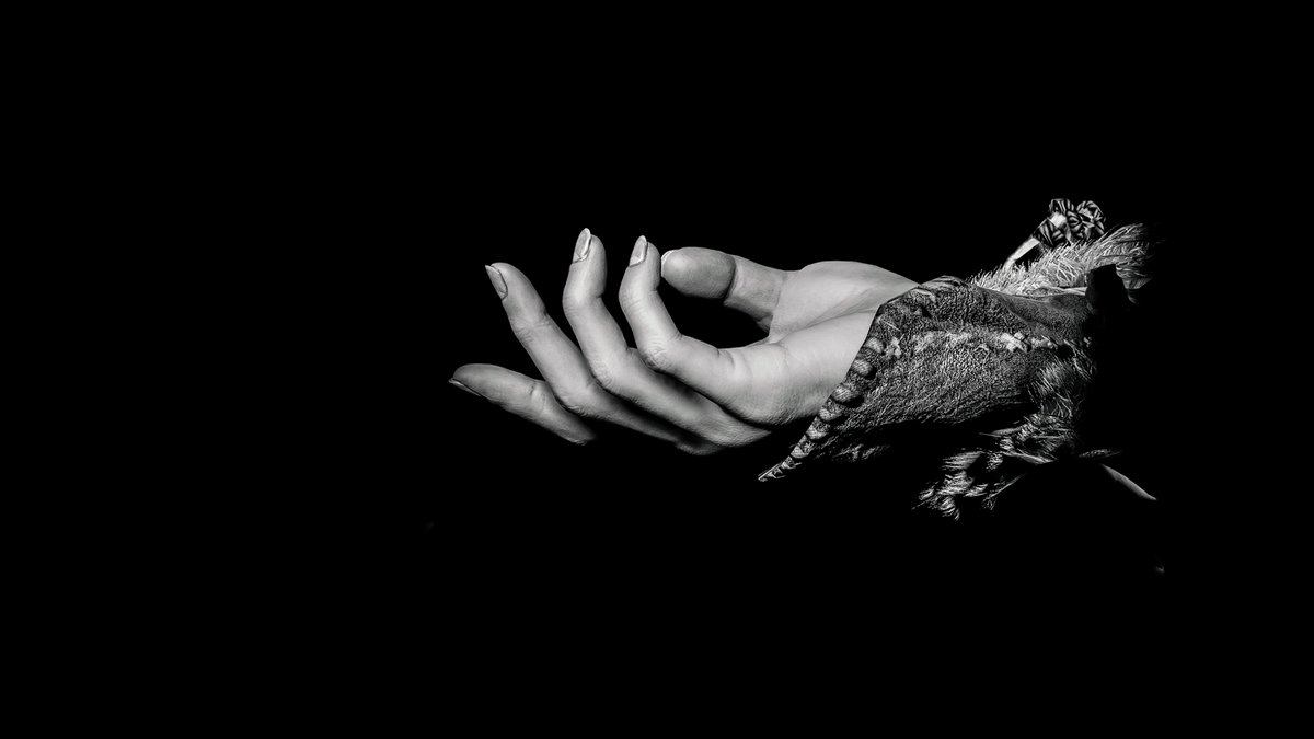KeenEyeVP's tweet photo. "Take my hand, friend"

#HorizonZeroDawn
#HZDPhotoMode
#KirstysFocus

#PlayStation5 #PlayStation #PSshare #VirtualPhotography #Art #PhotoMode  #VGPUnite #VPRT #ArtisticofSociety #WorldofVP #VPEclipse #PhoMode #TheCapturedCollective #GamerGram  #VPArtists #sparkedsynapse https://t.co/Cp3dcbLxAV