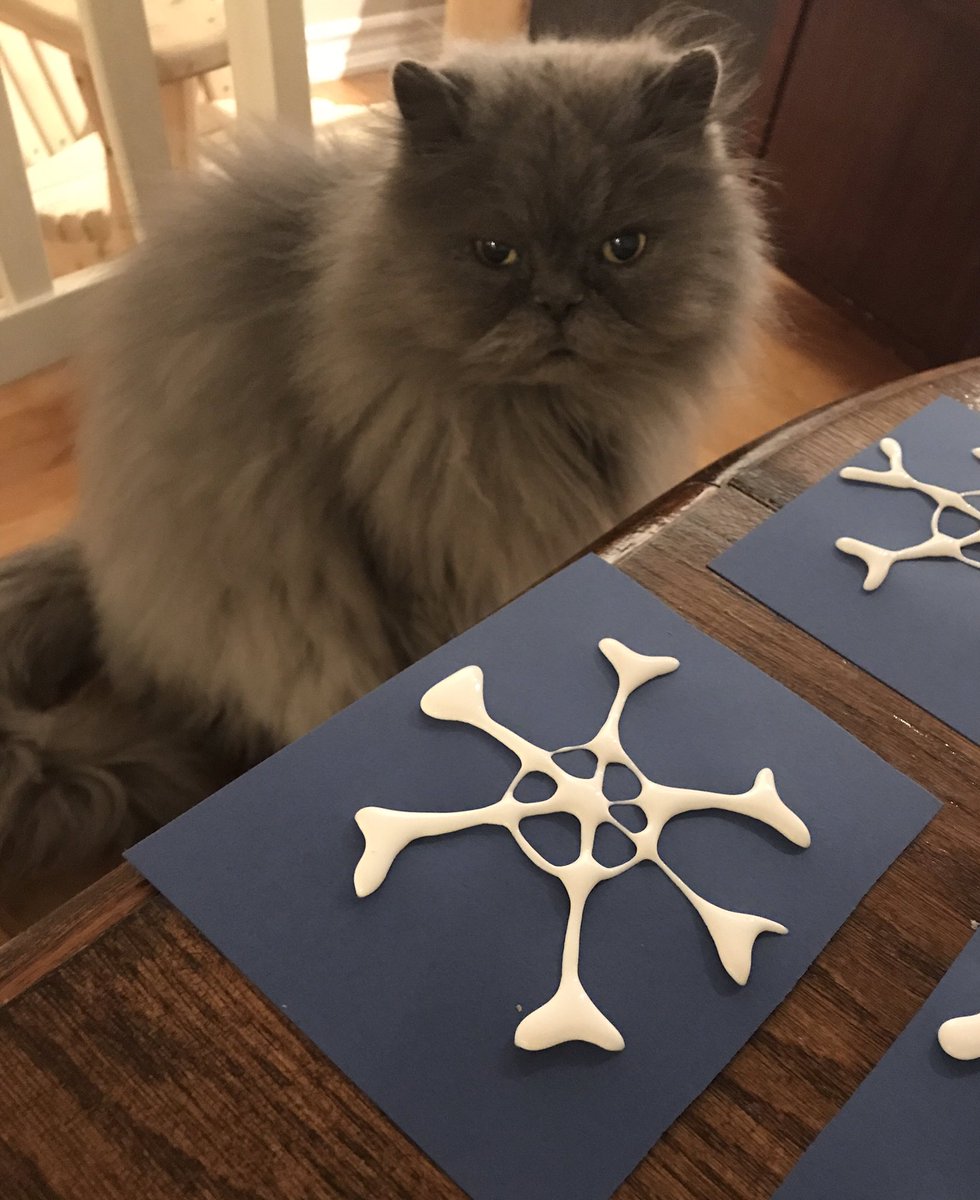 MrRumseyFDK's tweet photo. My two supervisors of snowflakes for class tomorrow. https://t.co/N7IipQ0NTY