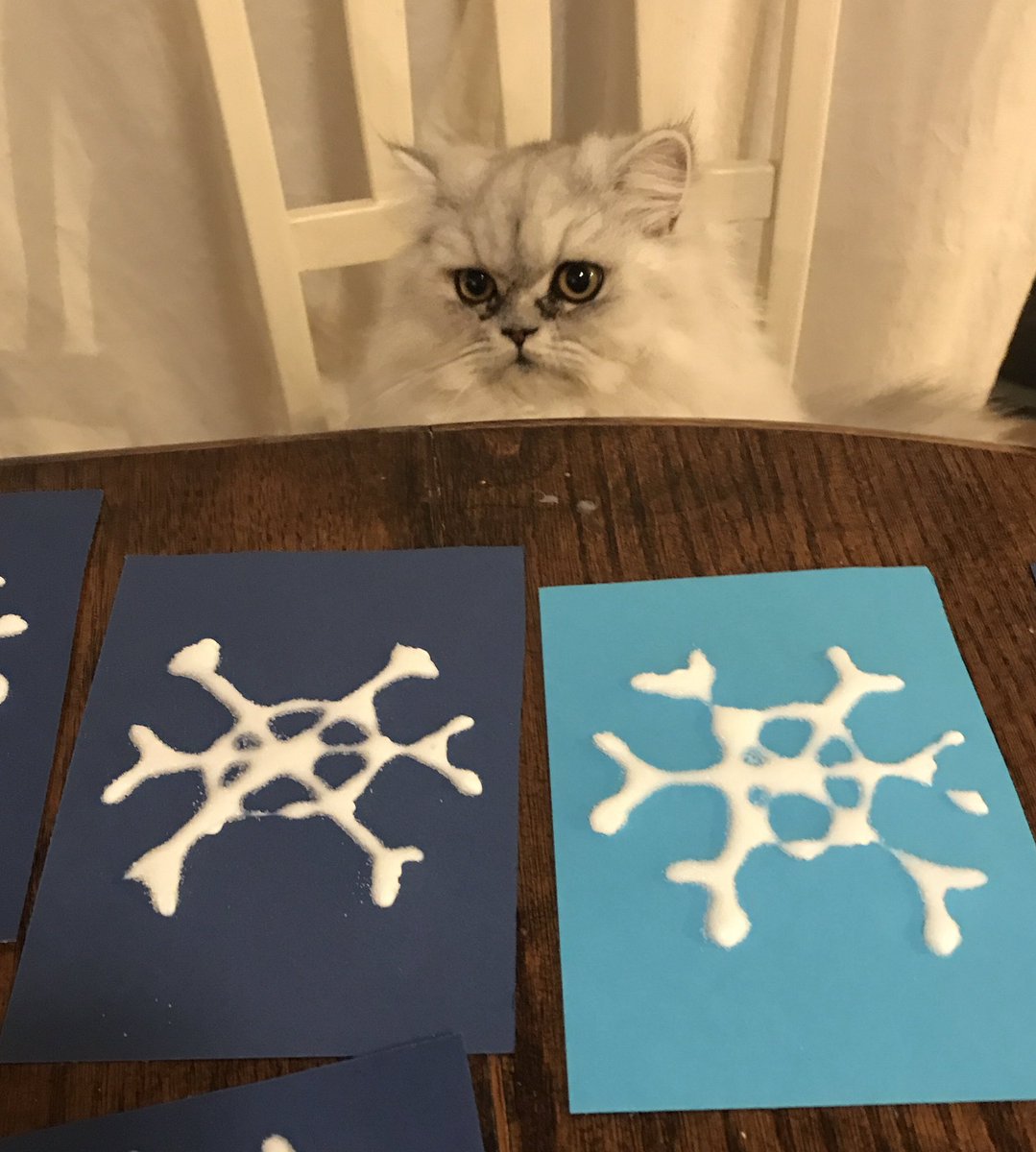 MrRumseyFDK's tweet photo. My two supervisors of snowflakes for class tomorrow. https://t.co/N7IipQ0NTY
