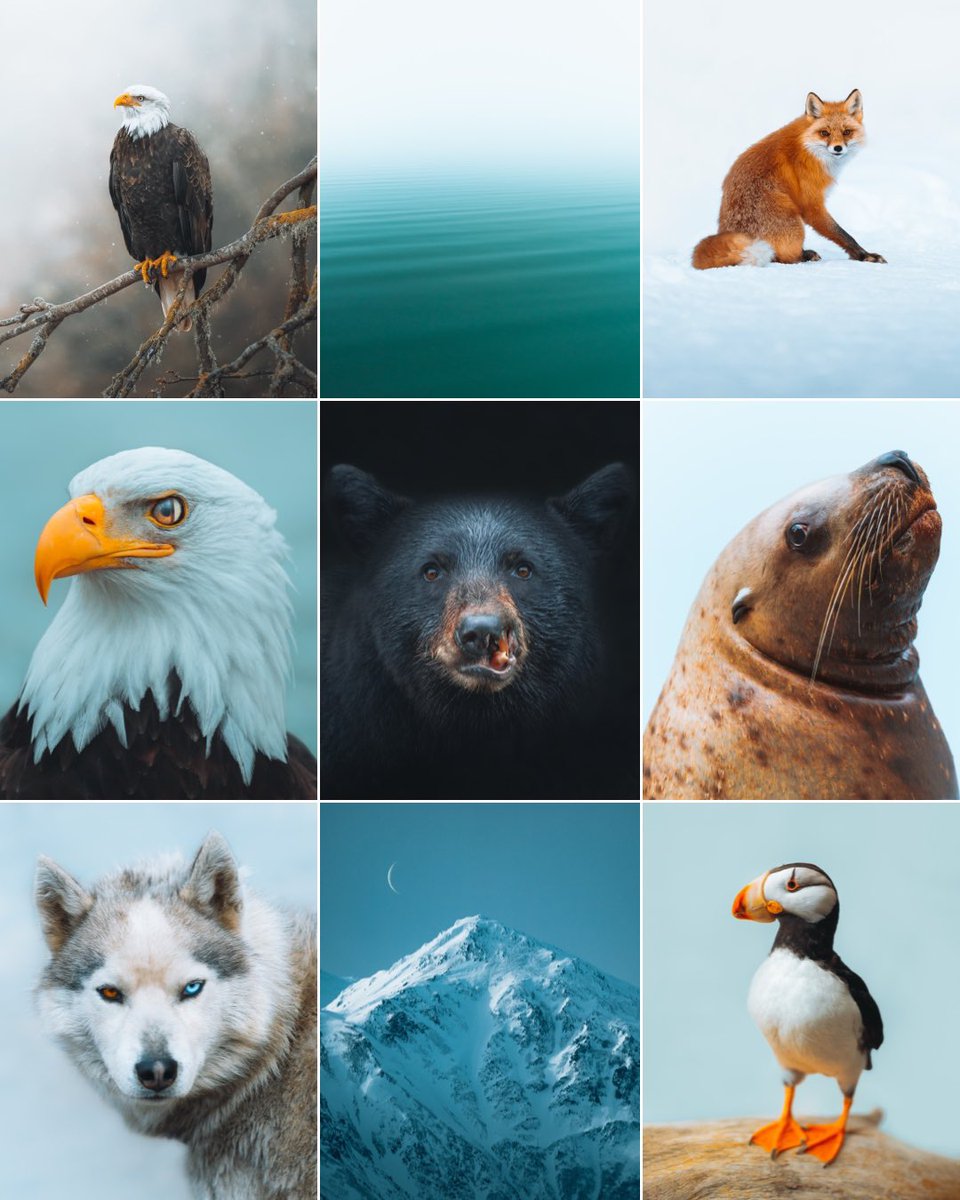 Gn friends! Added new images to my print shop 🧡 #NaturePhotography