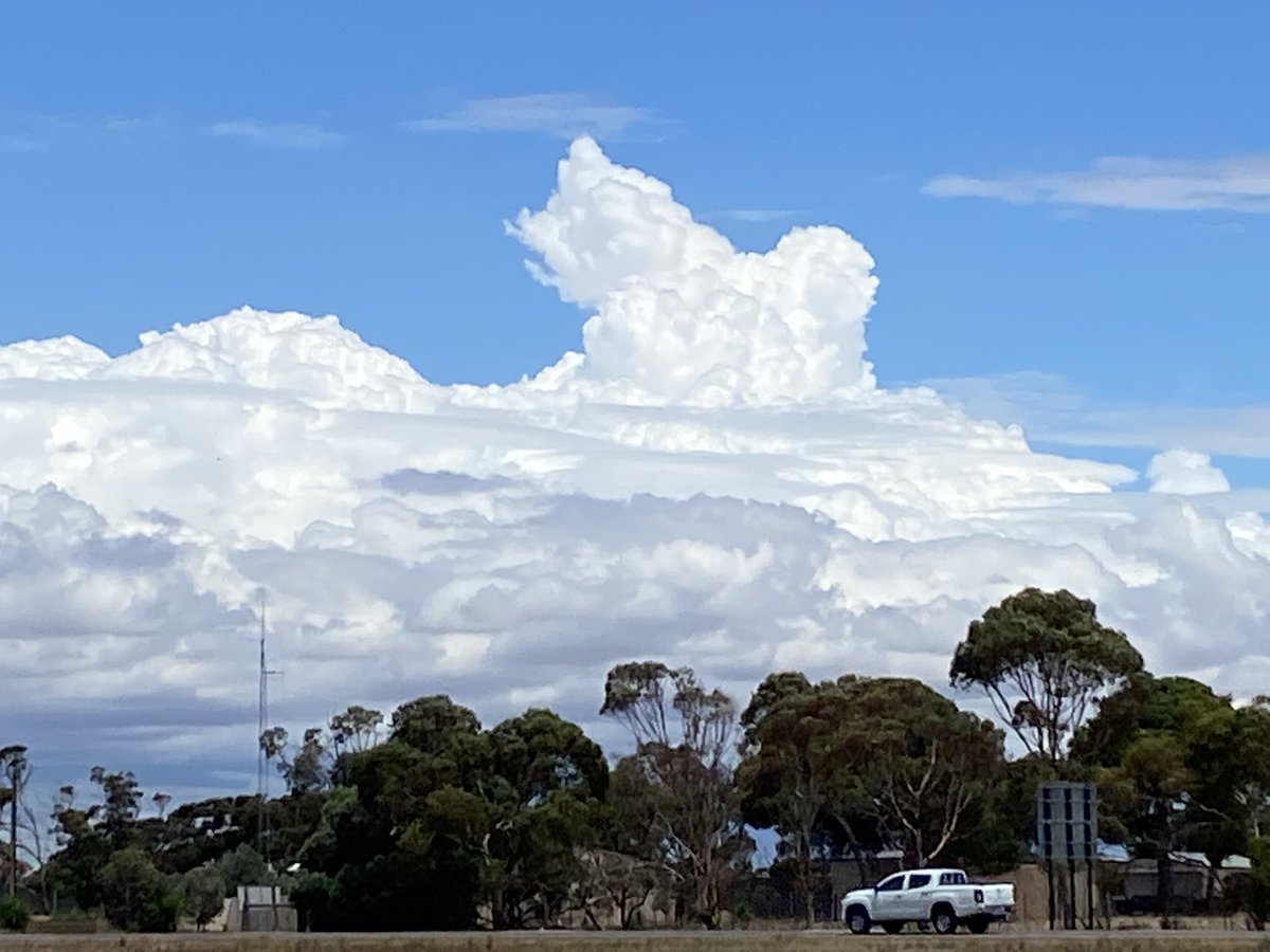 Chris Davey tweet media