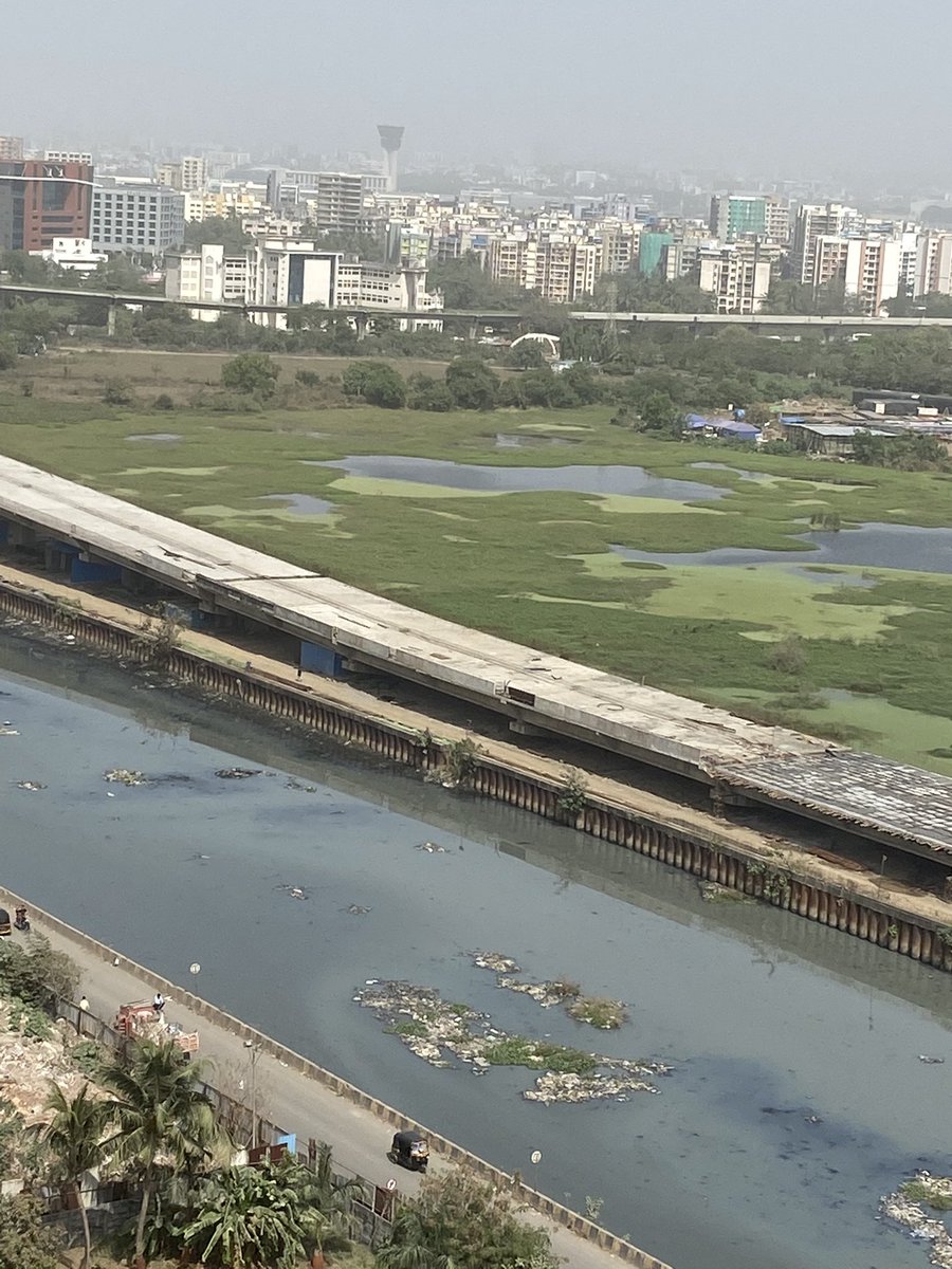 Monica Bisht tweet media