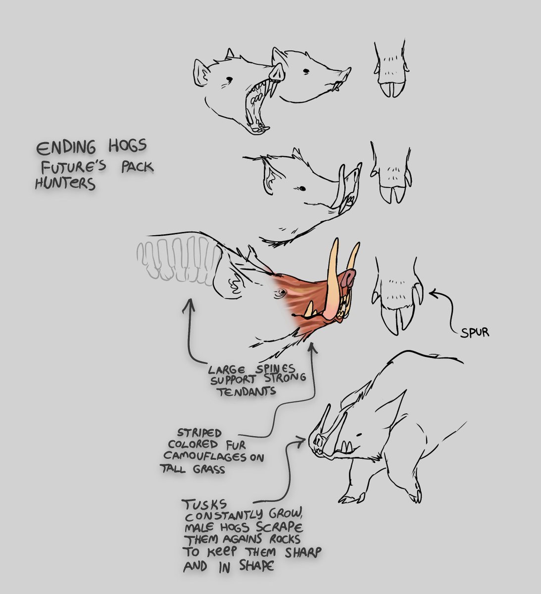 redesigning the future predatory pigs from my story 