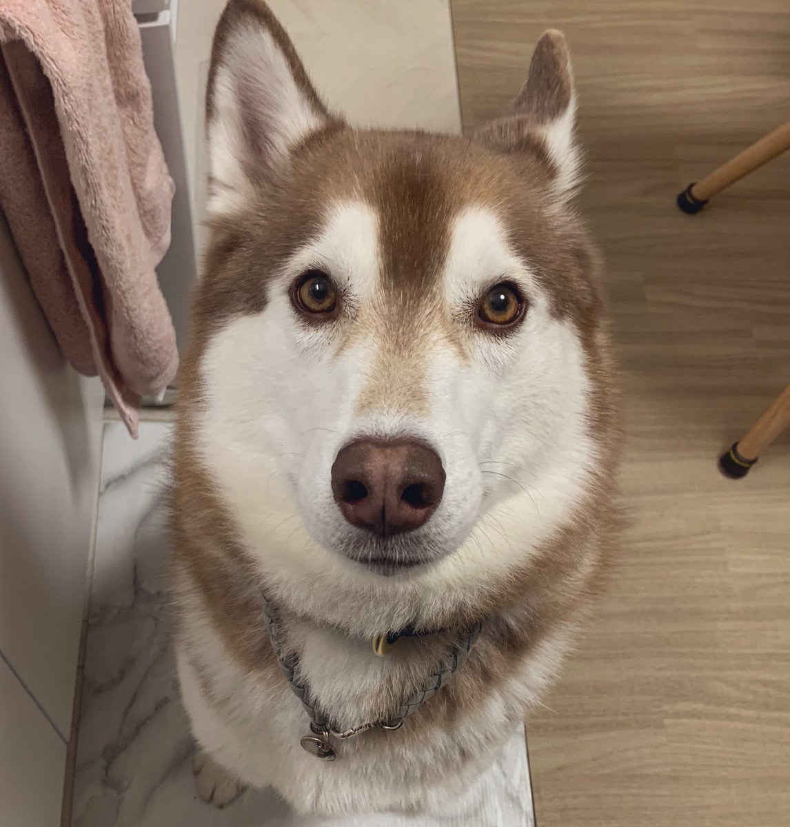 石川文 Icchan0212 Twitter