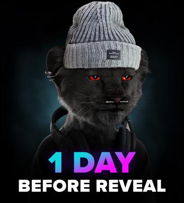 TheRoyalCubs's tweet photo. ONLY ONE DAY LEFT until the ROYAL CUBS are back to Wildlife!! 

Which Cub you would like to get??

Oh and I'd be you I'd stay super tuned in next hours

SPREAD THE ROAR!!! 🐯

#spreadtheroar #NFTs #NFTCommumity #REVEAL https://t.co/QY9rsNRPly