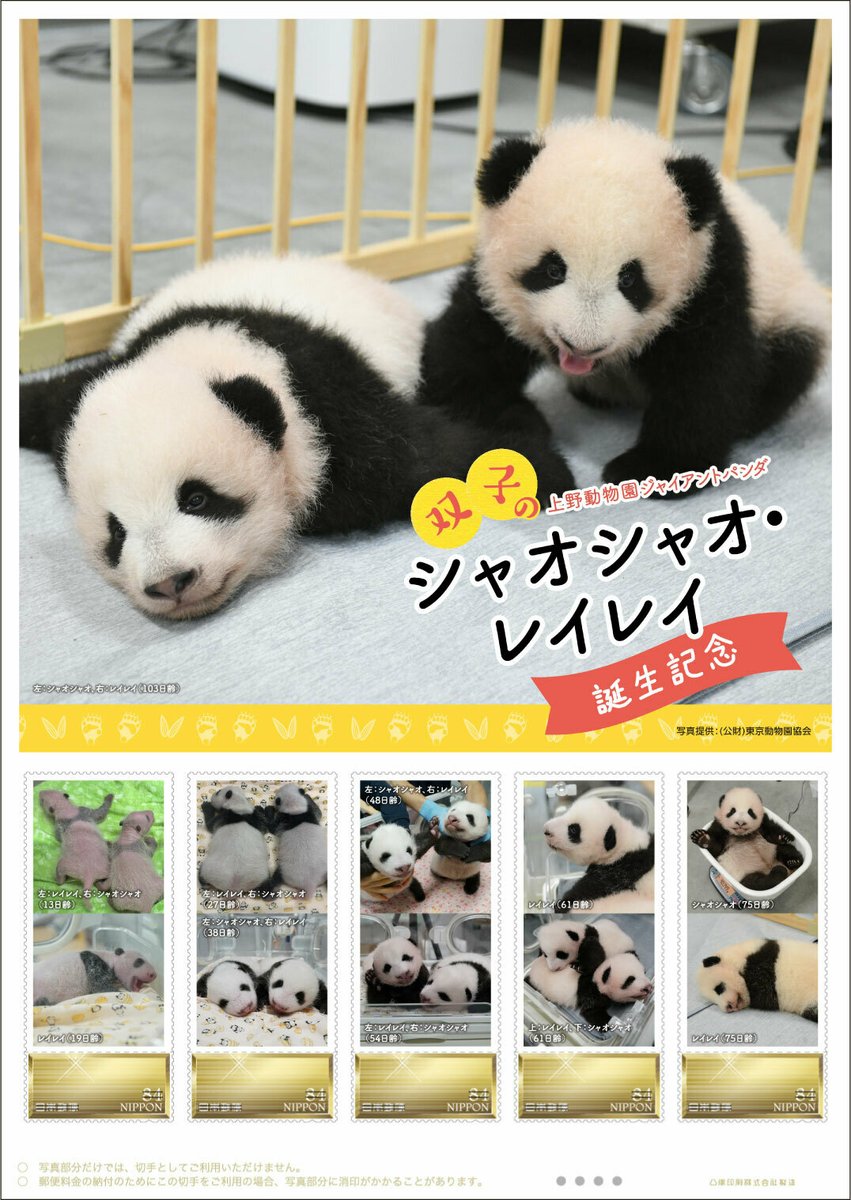 恩賜上野動物園＊シャオシャオ&レイレイ クリアファイルとポストカードセット 恩賜上野動物園＊シャオシャオ&レイレイ クリアファイルとポスト