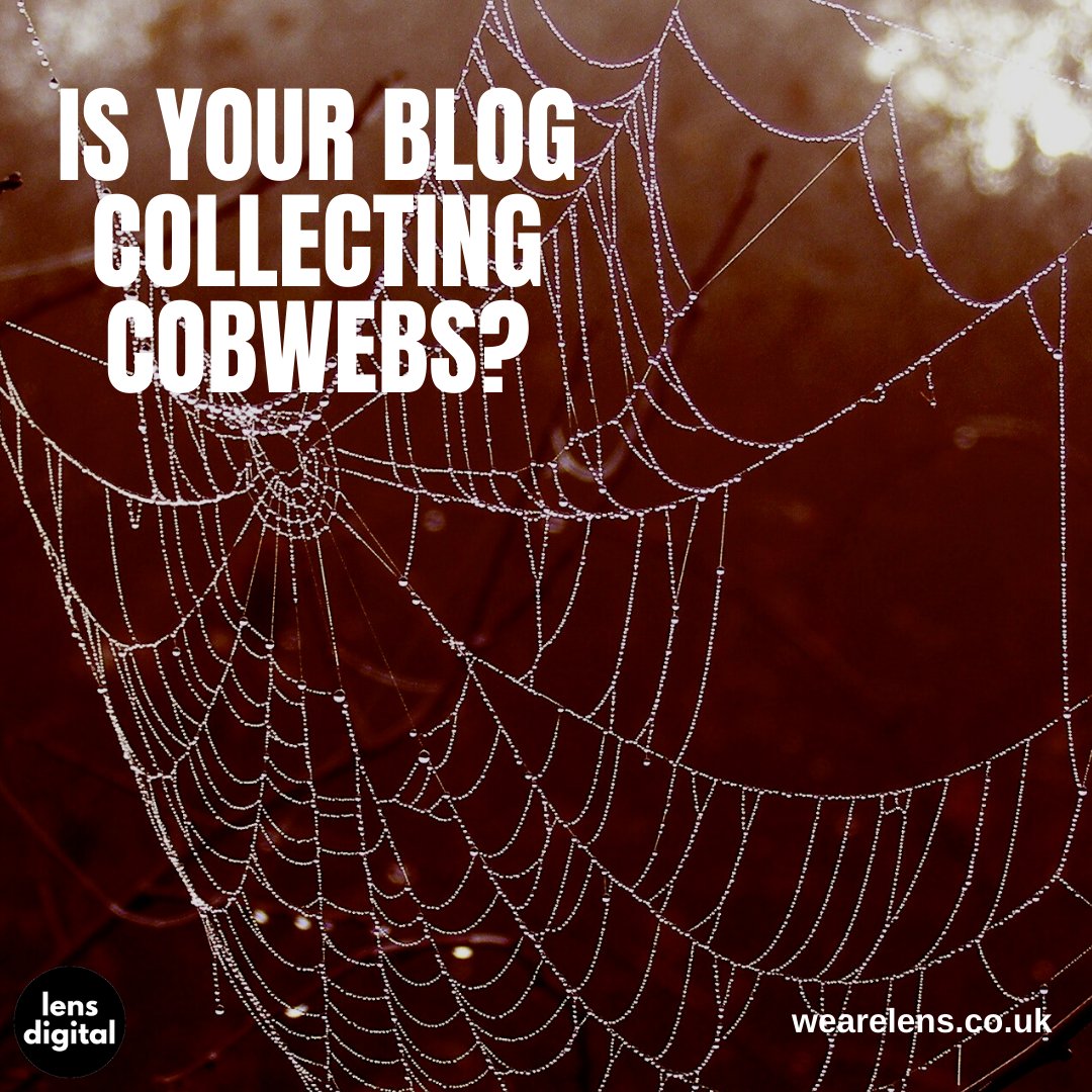 The internet is littered with blogs that are gathering cobwebs. Blogs are a great way to communicate with your audience but only start one if you have the resources to create content. #sbs #webdesign