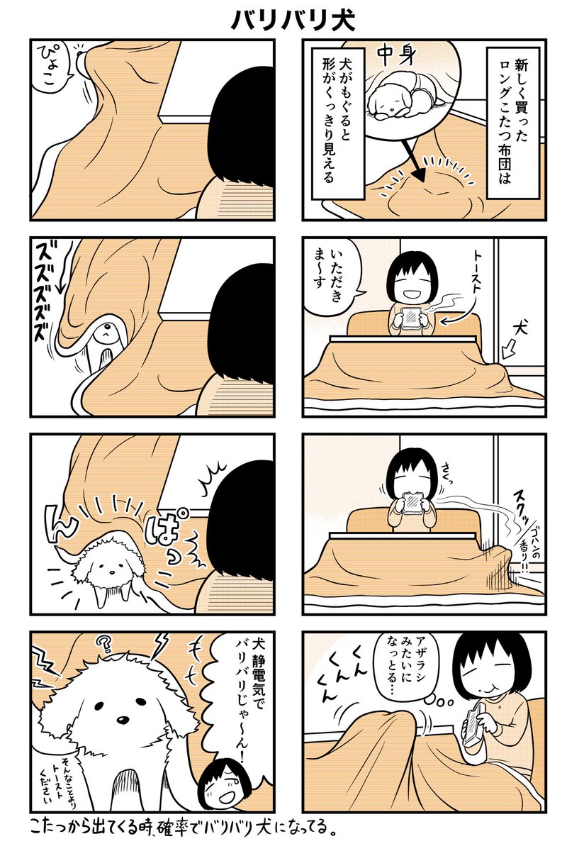 犬もこたつで丸くなりたいよねえ☺️ 